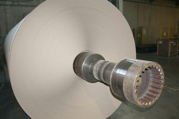 Paper and pulp mill plant - Rolls of cardboard