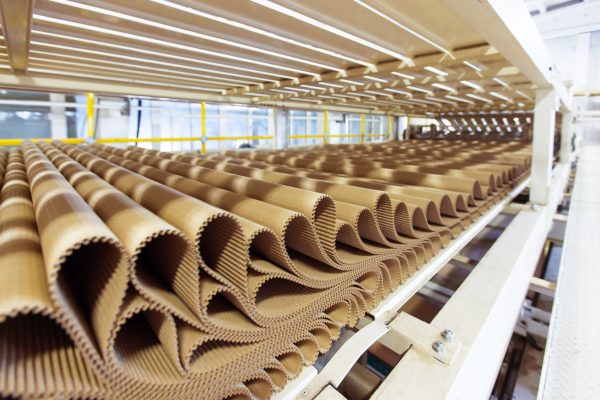 Closeup image of pleat cardboard row at factory background.