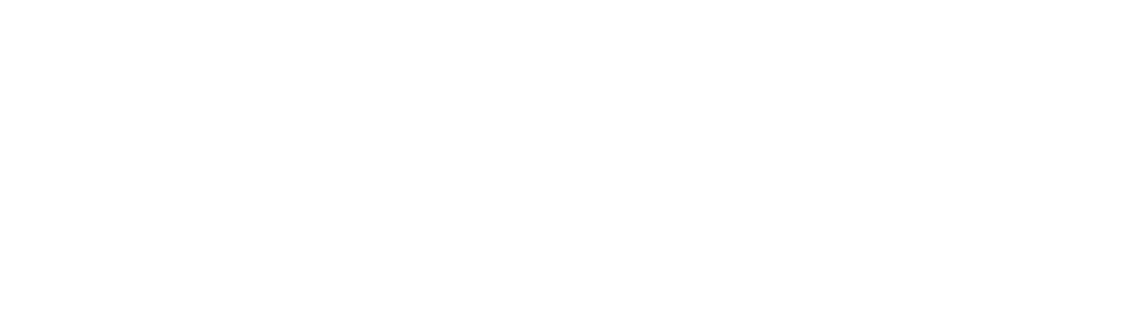 MSI Services